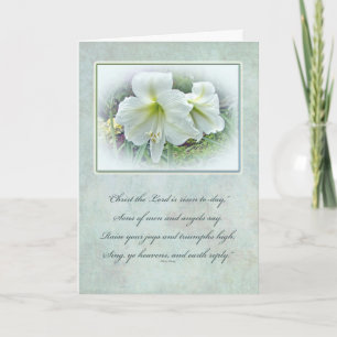 Easter Greeting Card - White Amaryllis Feiertagskarte