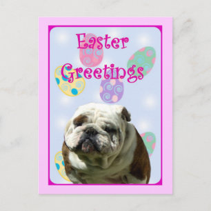 Easter Greetings Bulldog postcard Feiertagspostkarte