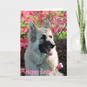 Easter GSD Feiertagskarte