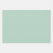 Easter Mint Green Ginham Geschenkpapier Set (Vorderseite 2)