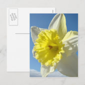 EASTER Postkarten 11 Blume Pinsel Postkarte (Vorne/Hinten)