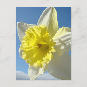 EASTER Postkarten 11 Blume Pinsel Postkarte