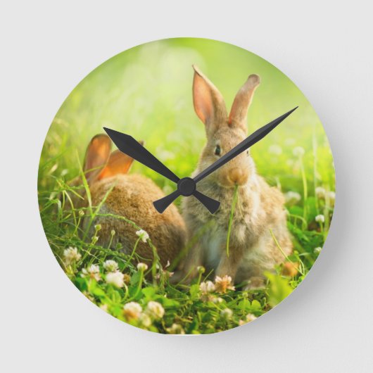 Easter Rabbits Runde Wanduhr (Vorderseite)