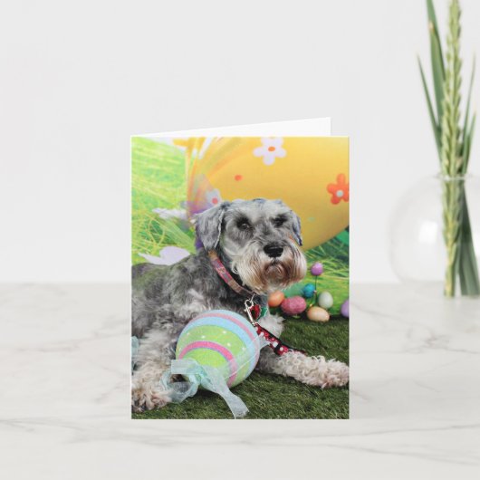 Easter - Schnauzer - Fergie Feiertagskarte (Vorderseite)