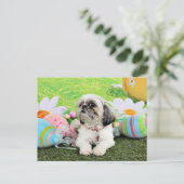 Easter - Shih Tzu - Sophie Feiertagspostkarte (Stehend Vorderseite)