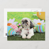 Easter - Shih Tzu - Sophie Feiertagspostkarte (Vorne/Hinten)