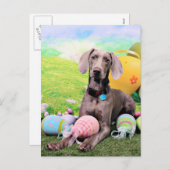 Easter - Weimaraner - Ben Feiertagspostkarte (Vorne/Hinten)