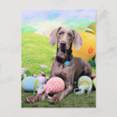 Easter - Weimaraner - Ben Feiertagspostkarte (Vorderseite)