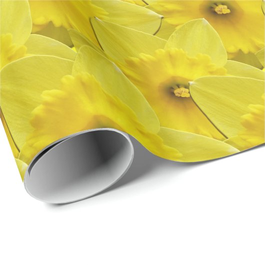 Easter Wrapping Paper Spring Daffodil Gift Paper Geschenkpapier (Rolleneckpunkt)