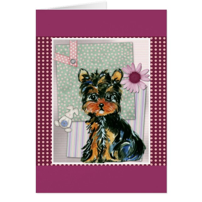 EASTER YORKIE POO (Vorne)