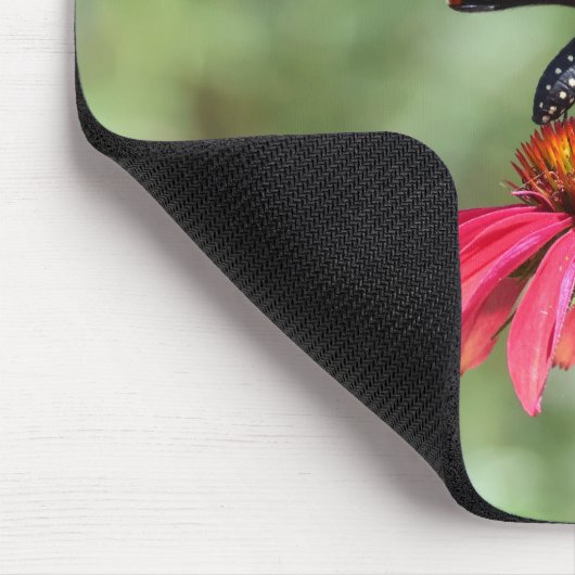 Eastern Black Frack auf Cone Blume Mousepad (Ecke)