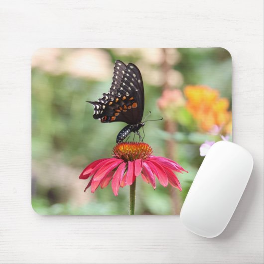 Eastern Black Frack auf Cone Blume Mousepad (Mit Mouse)