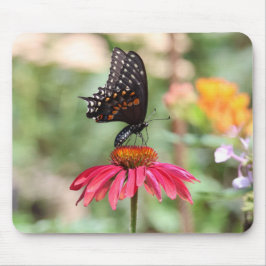 Eastern Black Frack auf Cone Blume Mousepad