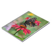 Eastern Black Frack auf Cone Blume Notizblock (Linke Seite)