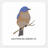 Eastern Bluebird 53 Sticker (Vorderseite)