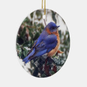 Eastern Bluebird auf Holly Christmas Ornament (Rechts)
