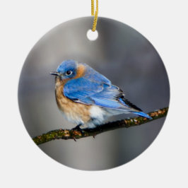Eastern Bluebird auf Limb Weihnachtsdekoration Keramikornament