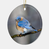 Eastern Bluebird auf Limb Weihnachtsdekoration Keramikornament (Links)