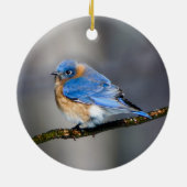 Eastern Bluebird auf Limb Weihnachtsdekoration Keramikornament (Hinten)
