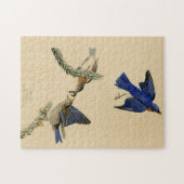Eastern Bluebird aus Audubons Vögeln von Amerika Puzzle (Horizontal)