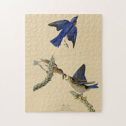 Eastern Bluebird aus Audubons Vögeln von Amerika Puzzle (Vertikal)