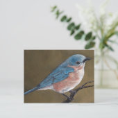 Eastern Bluebird Bird Art Postkarte (Stehend Vorderseite)