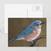 Eastern Bluebird Bird Art Postkarte (Vorne/Hinten)