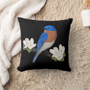 Eastern Bluebird Bird Birdlover Birdwatcher Kissen