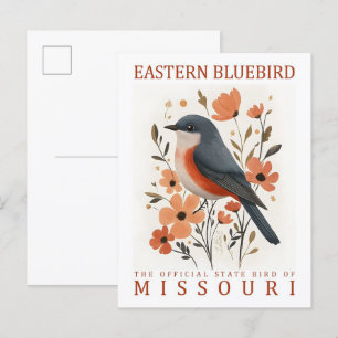 Eastern Bluebird Bird of Missouri USA Travel Postkarte