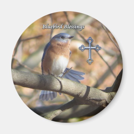 Eastern Bluebird Blessings Magnet. Magnet (Vorne)