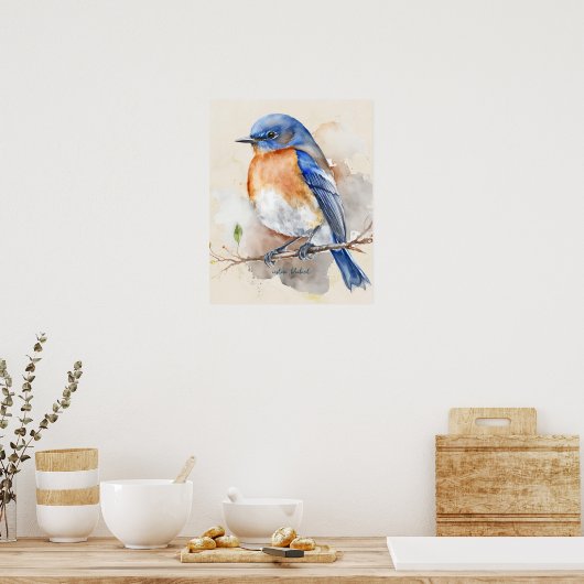 Eastern Bluebird Blue Orange Rustikale Wasserfarbe Poster (Küche)
