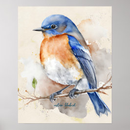 Eastern Bluebird Blue Orange Rustikale Wasserfarbe Poster
