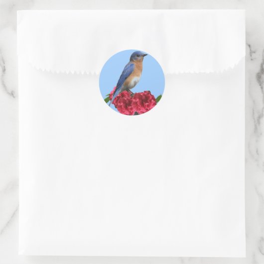 Eastern Bluebird Camellia Sticker (Tasche)