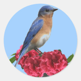 Eastern Bluebird Camellia Sticker