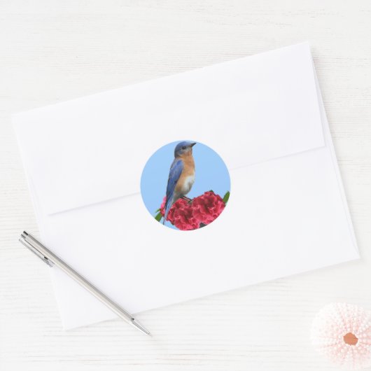 Eastern Bluebird Camellia Sticker (Umschlag)