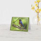 Eastern Bluebird Card Karte (Gelbe Blume)