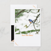 Eastern Bluebird/Champagne Gläser Save the Date ~  (Vorne/Hinten)