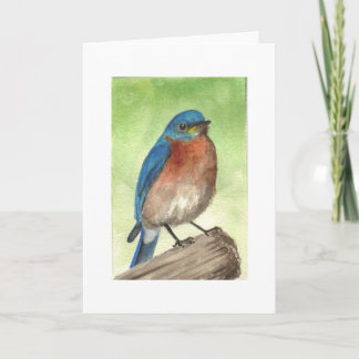 Eastern Bluebird Feiertagskarte