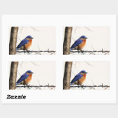 Eastern Bluebird Foto Rechteckiger Aufkleber (Blatt)