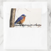 Eastern Bluebird Foto Rechteckiger Aufkleber (Tasche)