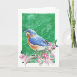 Eastern Bluebird Grußkarte Karte