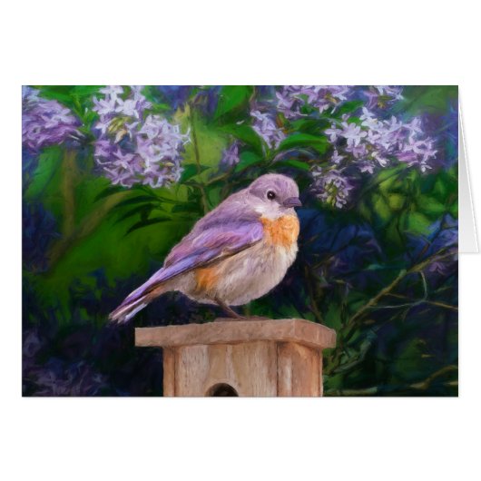 Eastern Bluebird in Snow - Original Foto (Vorderseite (Horizontal))