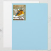 Eastern Bluebird in Snow - Original Foto (Vorne/Hinten)