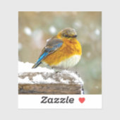 Eastern Bluebird in Snow - Original Foto Aufkleber (Blatt)