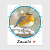 Eastern Bluebird in Snow - Original Foto Aufkleber (Blatt)