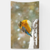 Eastern Bluebird in Snow - Original Foto Banner (Vertikal)