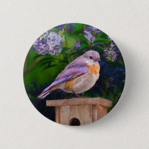 Eastern Bluebird in Snow - Original Foto Button