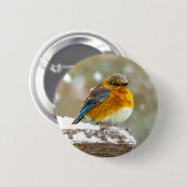 Eastern Bluebird in Snow - Original Foto Button (Vorne & Hinten)