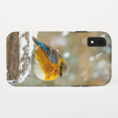 Eastern Bluebird in Snow - Original Foto Case-Mate iPhone Hülle (Rückseite (Horizontal))