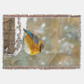 Eastern Bluebird in Snow - Original Foto Decke (Vorderseite)